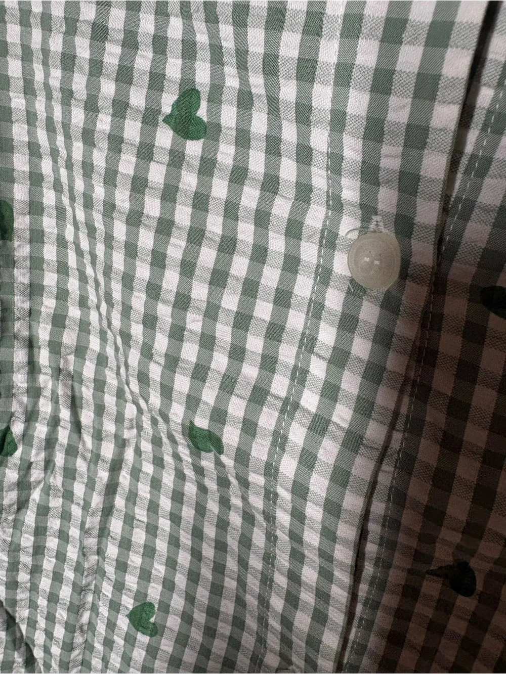 American Eagle Outfitters Green Gingham Heart Dog Shirt XL